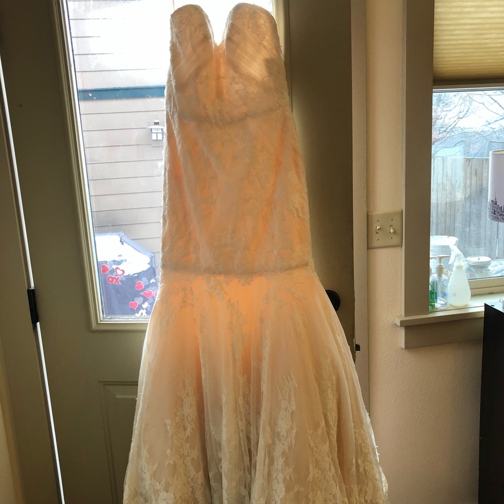 Wedding gown and accessories - Picture 2 of 8